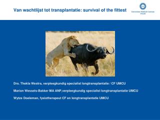 van wachtlijst tot transplantatie survival of the fittest