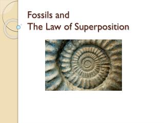 fossils and the law of superposition