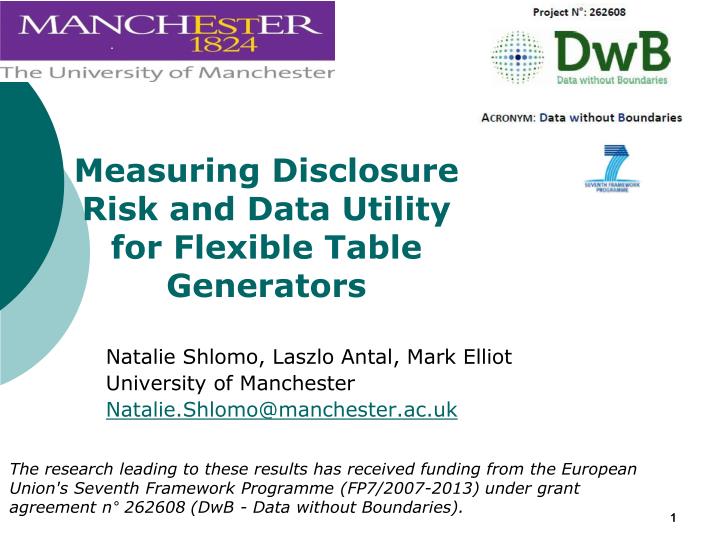 measuring disclosure risk and data utility for flexible table generators