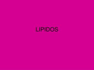 lipidos