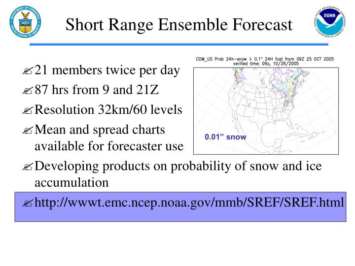 short range ensemble forecast