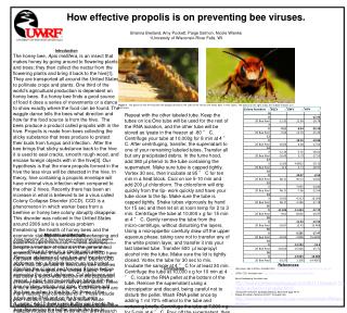 How effective propolis is on preventing bee viruses.