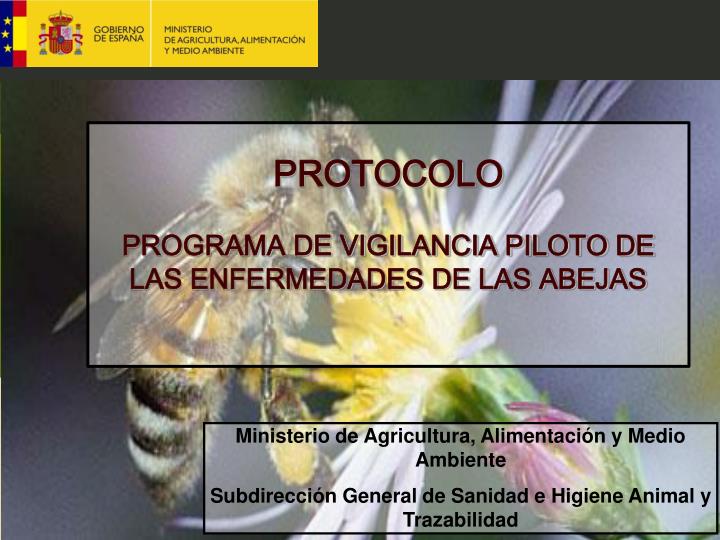 protocolo programa de vigilancia piloto de las enfermedades de las abejas