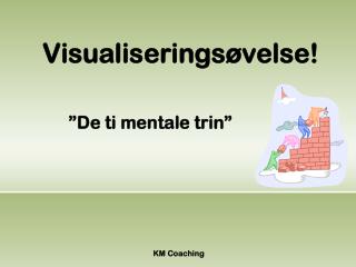 visualiserings velse
