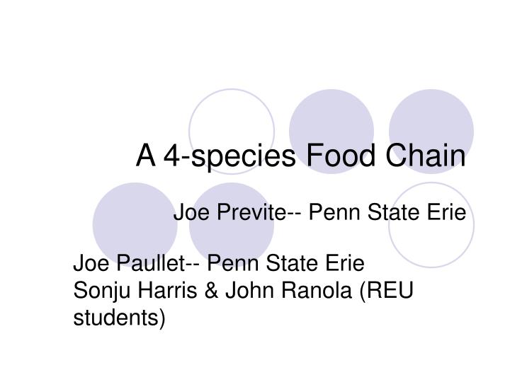 a 4 species food chain