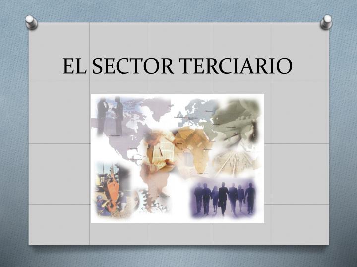 el sector terciario