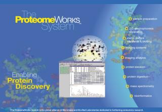 The ProteomeWorks System ~ New Mass Spectrometry Systems ~