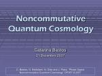 Noncommutative Quantum Cosmology: Exploring Phase Space Dynamics - slide 1