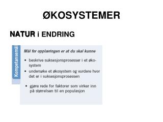kosystemer