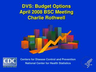 DVS: Budget Options April 2008 BSC Meeting Charlie Rothwell