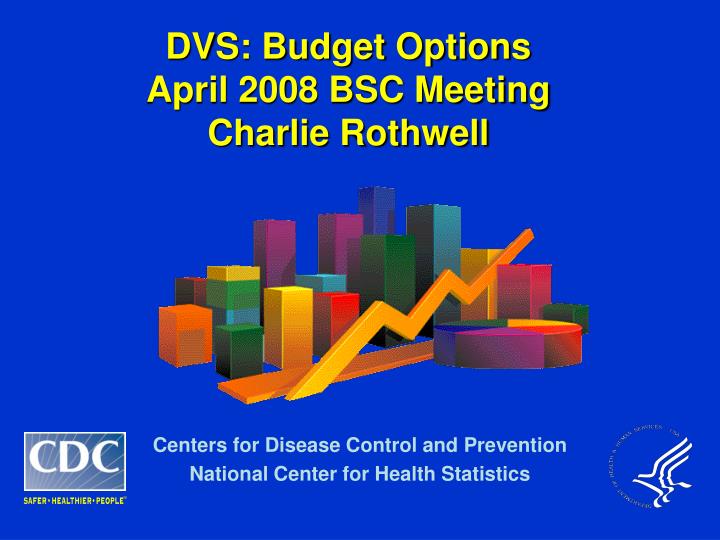 dvs budget options april 2008 bsc meeting charlie rothwell