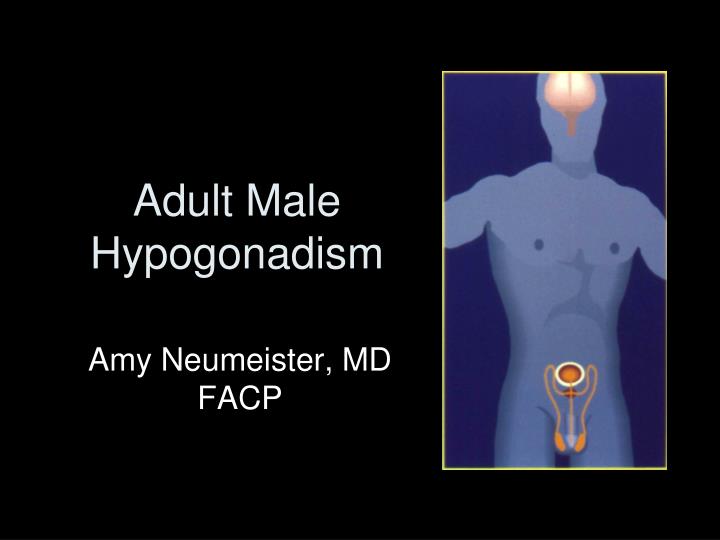 adult male hypogonadism