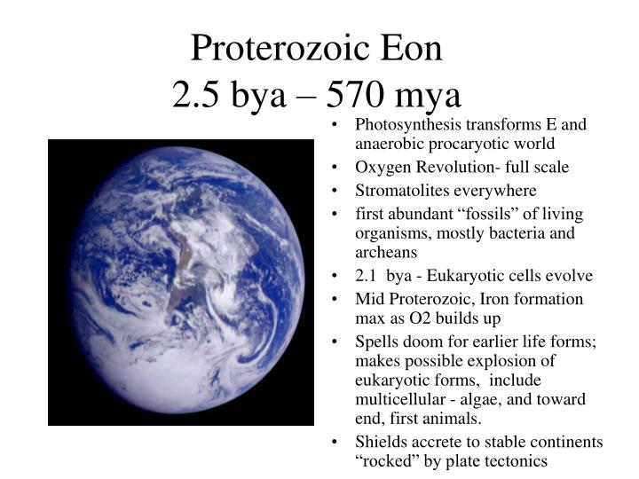 proterozoic eon 2 5 bya 570 mya