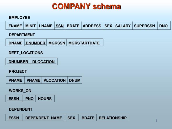 company schema