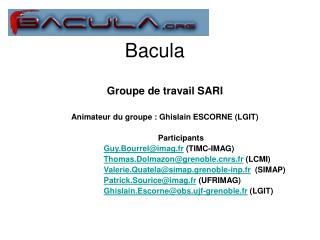 bacula
