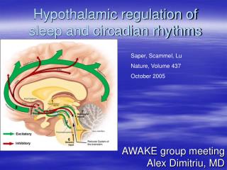 Hypothalamic regulation of sleep and circadian rhythms
