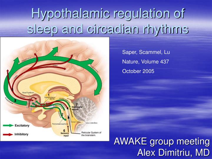 hypothalamic regulation of sleep and circadian rhythms