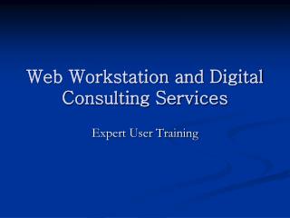 Web Workstation and Digital Consulting Services