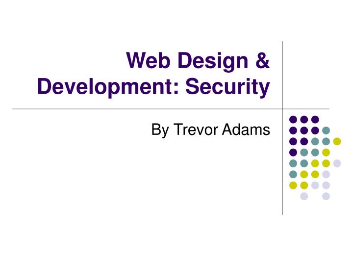 web design development security
