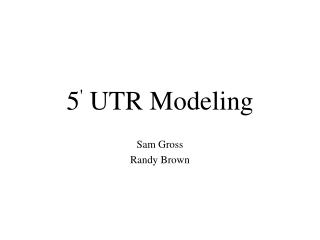 5 ' UTR Modeling