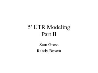 5 ' UTR Modeling Part II