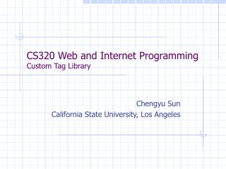 CS320 Web and Internet Programming Custom Tag Library