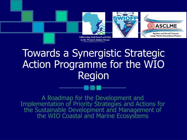 towards a synergistic strategic action programme for the wio region