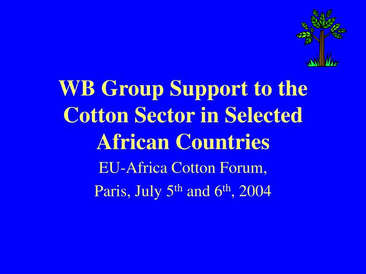 wb group support to the cotton sector in selected african countries