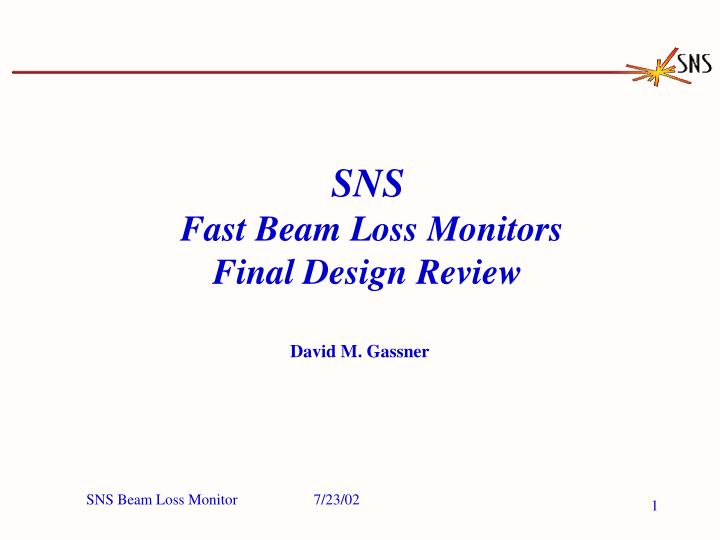 sns fast beam loss monitors final design review