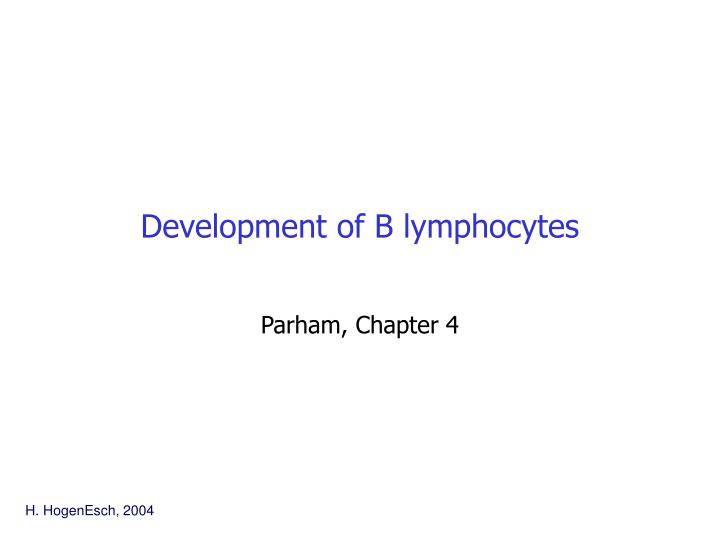 development of b lymphocytes