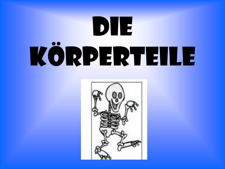 die k rperteile