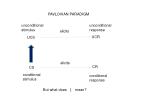 PAVLOVIAN PARADIGM - slide 1