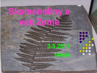 skameneliny a vek zeme