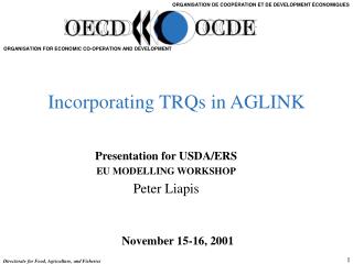 Incorporating TRQs in AGLINK