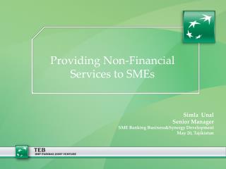 Providing Non-Financial Services to SMEs