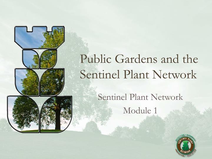 public gardens and the sentinel plant network