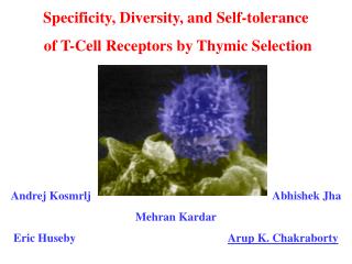 Specificity, Diversity, and Self-tolerance of T-Cell Receptors by Thymic Selection