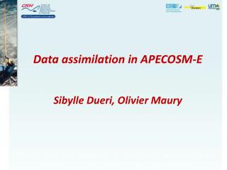Data assimilation in APECOSM-E