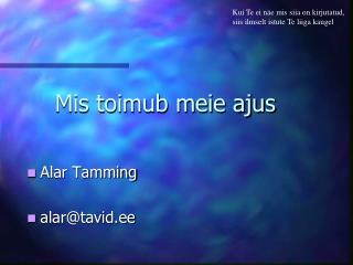mis toimub meie ajus