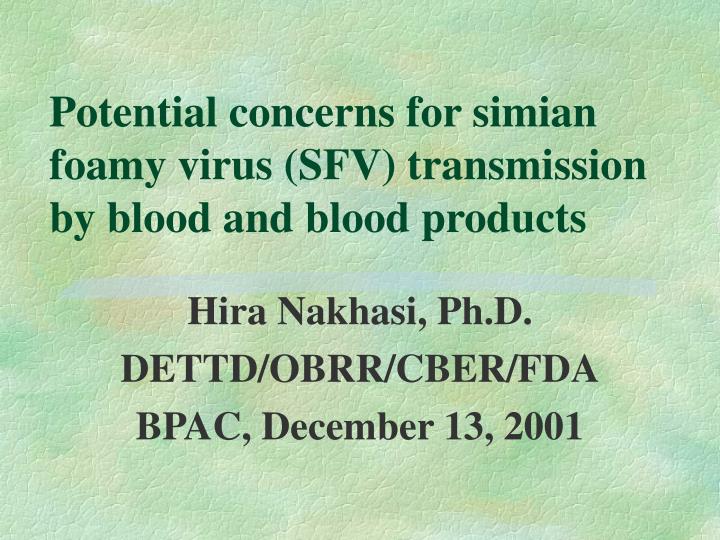 potential concerns for simian foamy virus sfv transmission by blood and blood products