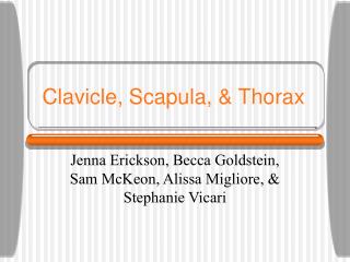 Clavicle, Scapula, &amp; Thorax