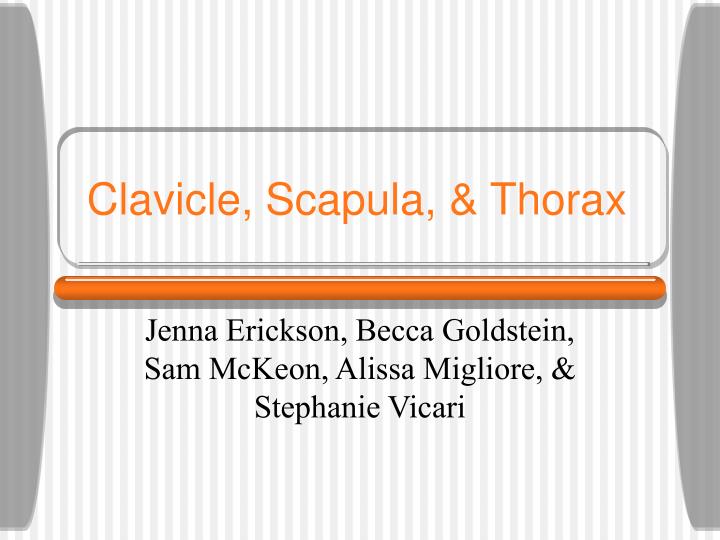 clavicle scapula thorax