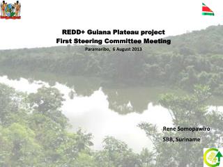 REDD+ Guiana Plateau project First Steering Committee Meeting Paramaribo, 6 August 2013