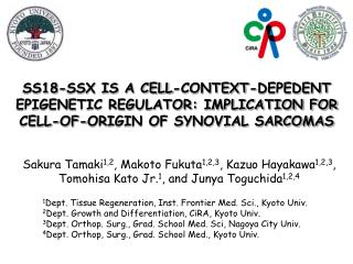 Synovial Sarcoma (SS)