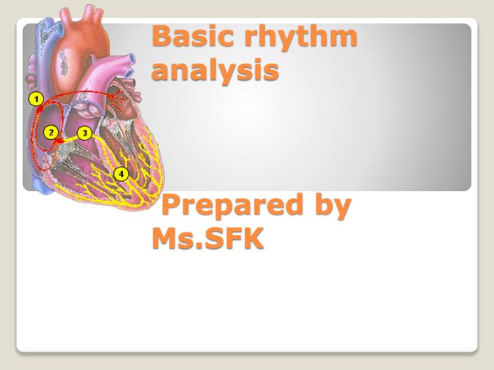 basic rhythm analysis prepared by ms sfk