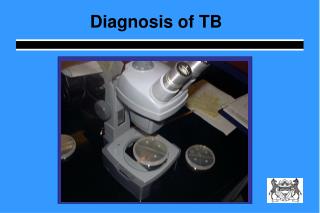 Diagnosis of TB