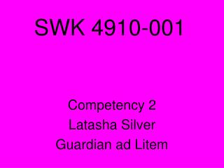 SWK 4910-001