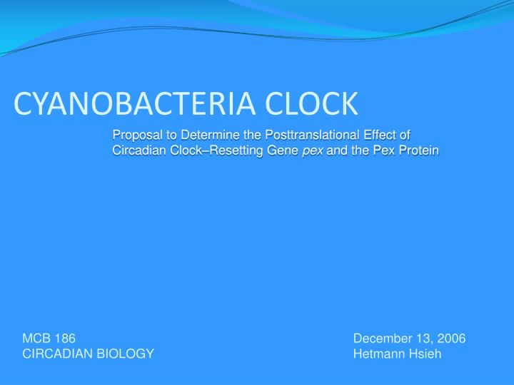 cyanobacteria clock