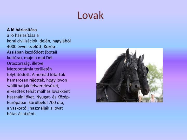 lovak