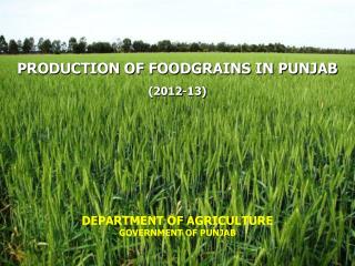 PRODUCTION OF FOODGRAINS IN PUNJAB